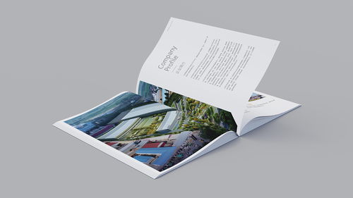 溫州企業(yè)形象與食品品牌宣傳冊(cè)設(shè)計(jì) 融合網(wǎng)頁(yè)設(shè)計(jì)理念的視覺新篇