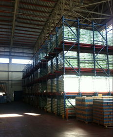 弗里生 天津 乳制品 食品科學與生物工程學院