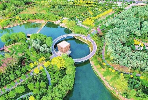 繪就綠色發展新畫卷 武威市涼州區推進生態文明建設綜述