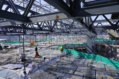 進(jìn)入歷史重大工程投資強(qiáng)度最高年，上海加大推進(jìn)力度的三種路徑