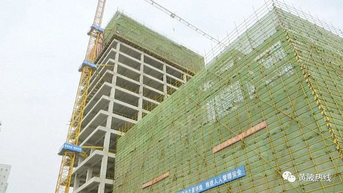 黃陂區(qū)融媒體中心大樓主體工程順利封頂，二期建設(shè)即將全面展開